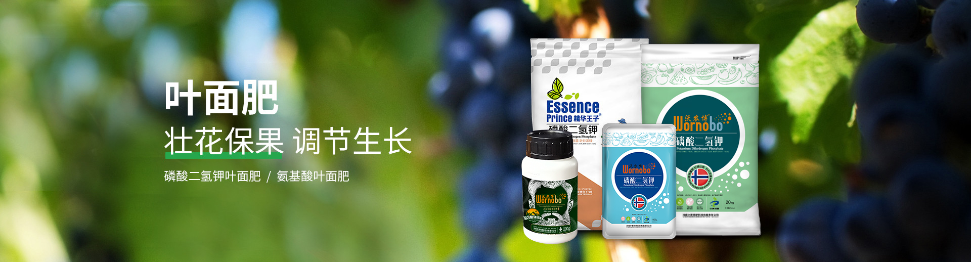 水溶肥料-大量元素水溶肥-含氨基酸水溶肥料-高塔復合肥-水溶肥生產(chǎn)廠家-河南中黃特肥科技有限責任公司